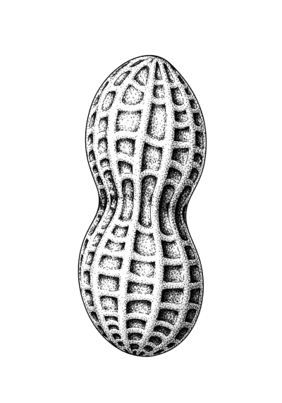 Imagen PNG para descargar